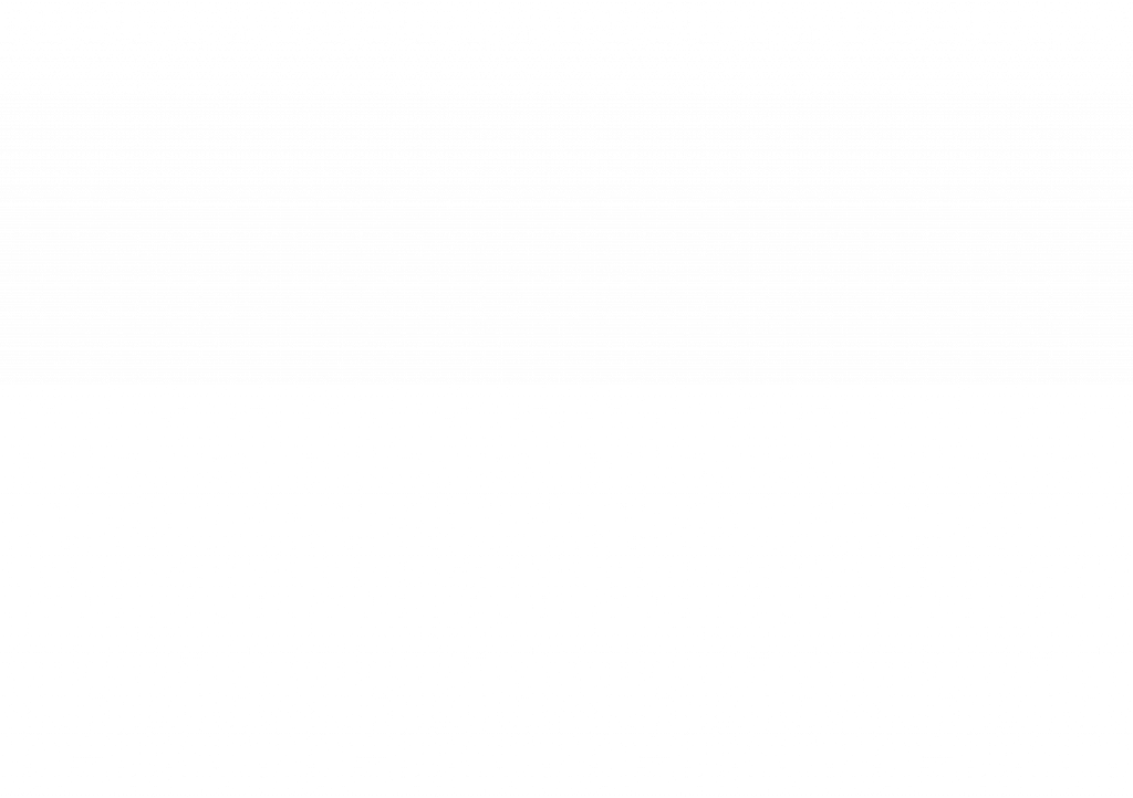 Parklock Flyer